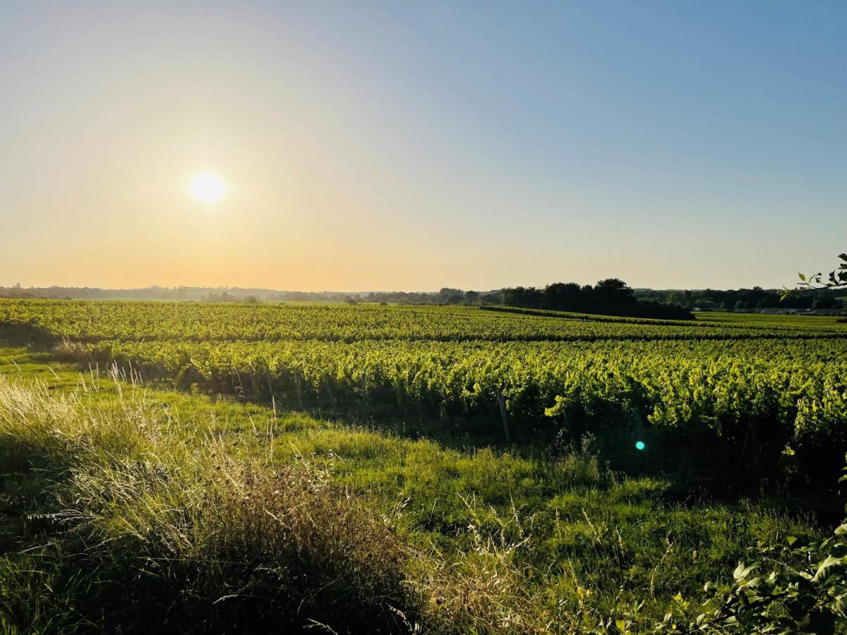 La Vigne D'Or Bed & Breakfast Teuillac Luaran gambar